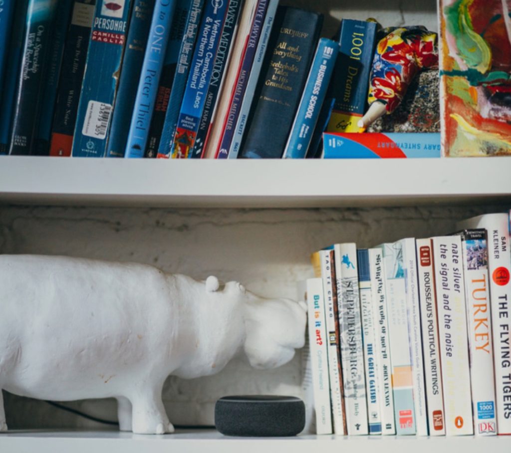 Echo Dot on a bookshelf