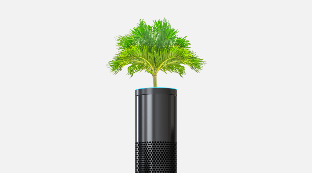 Image of Alexa, Grow a Tree